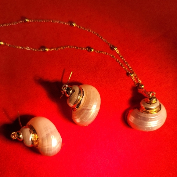 0288. New In Gift Box ~ Shells Dipped In GOLD! ~ Beautiful, FUN, Gold Trimmed - Picture 3 of 5